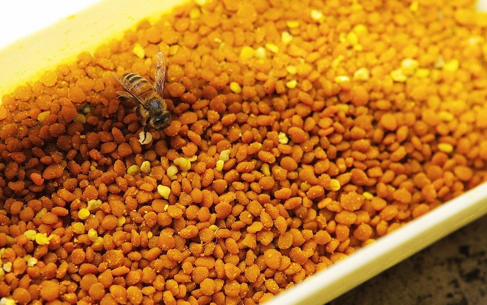 Пчелиная пыльца