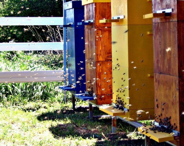 Шкаф для рамок пчелиных