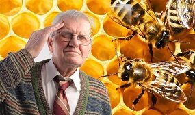 лечение рассеянного склероза пчелами
