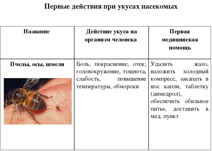 Первая помощь при укусах пчел и ос