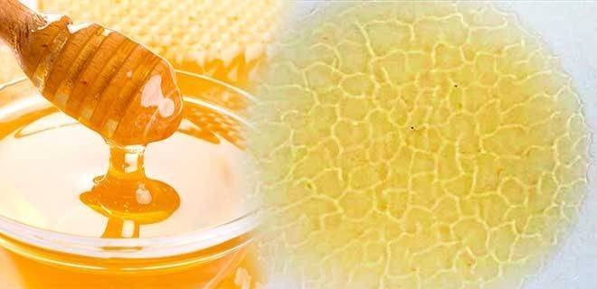 Генетическая память у мёда