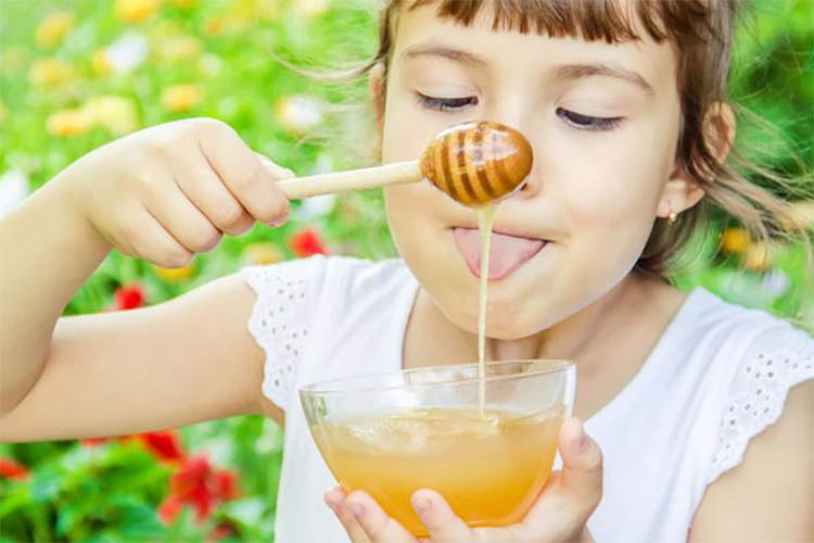 Ребенок ест мед